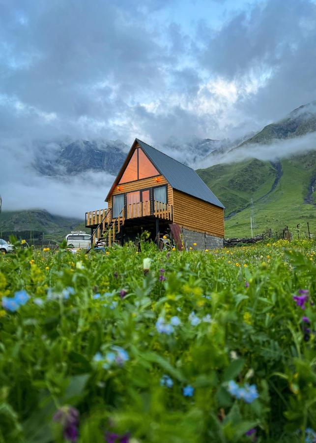 Mood Villa Kazbegi Экстерьер фото