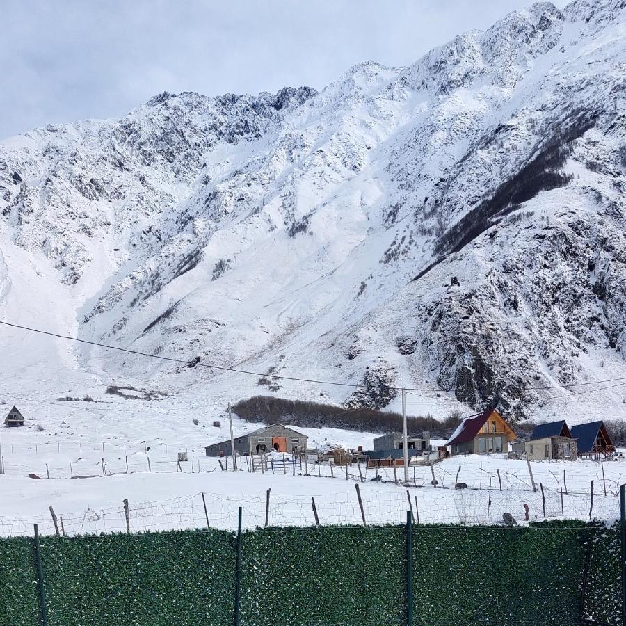 Mood Villa Kazbegi Экстерьер фото